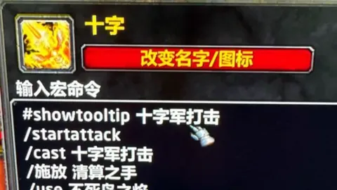 独家揭秘：“大熊猫体育家族”珍藏全家福大曝光